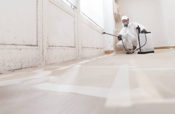 24/7 Emergency Mold Remediation experts in Springfield, OR