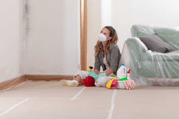 Reliable Mold Remediation contractor in Springfield, OR by Mold Remediation HQ